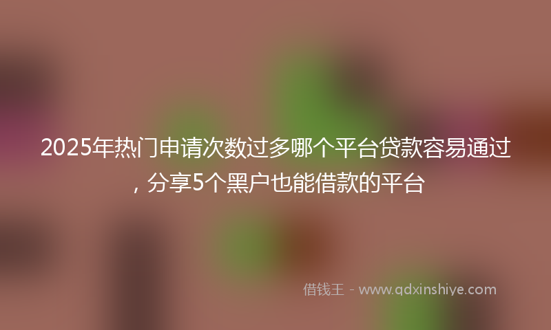 2025年热门申请次数过多哪个平台贷款容易通过，分享5个黑户也能借款的平台