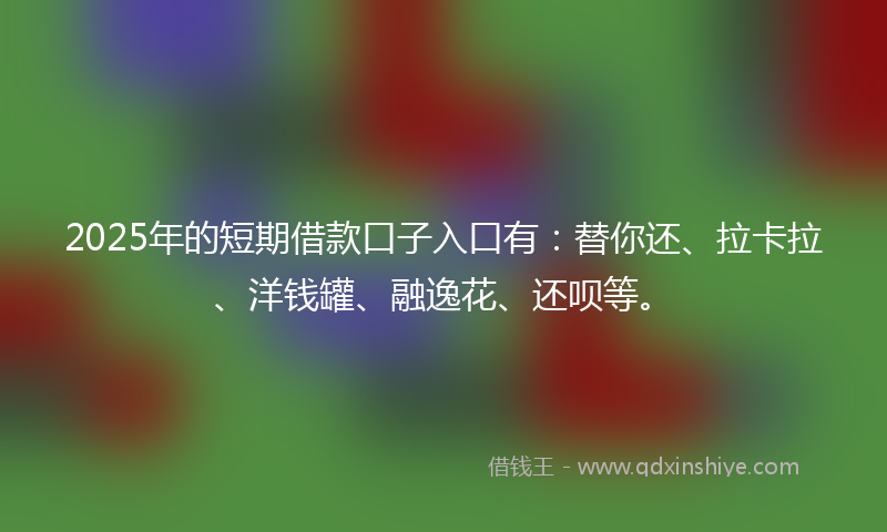 2025年的短期借款口子入口有：替你还、拉卡拉、洋钱罐、融逸花、还呗等。