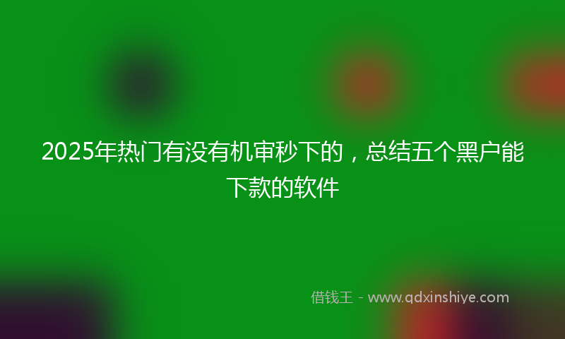 2025年热门有没有机审秒下的，总结五个黑户能下款的软件