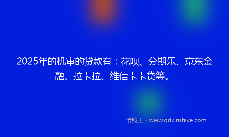 2025年的机审的贷款有：花呗、分期乐、京东金融、拉卡拉、维信卡卡贷等。