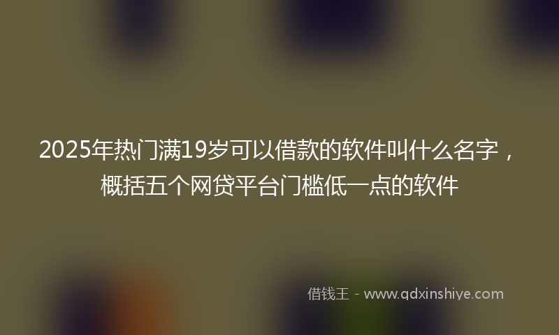 2025年热门满19岁可以借款的软件叫什么名字，概括五个网贷平台门槛低一点的软件