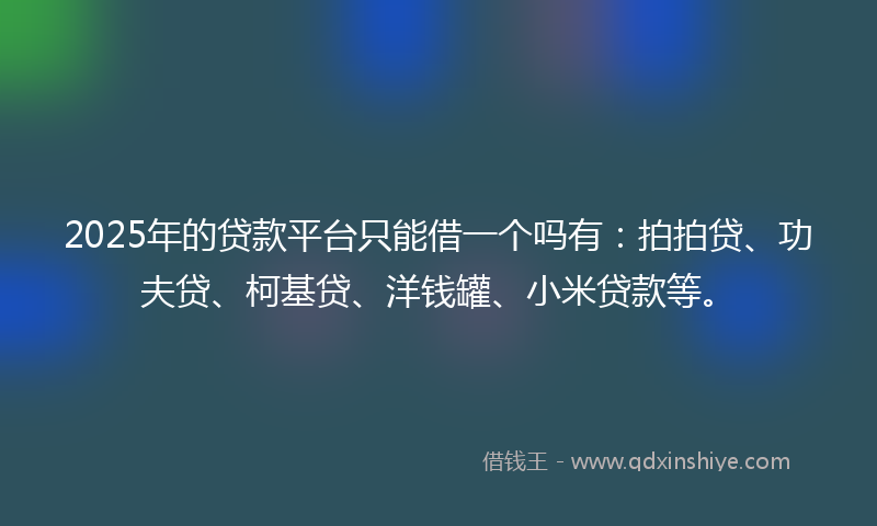 2025年的贷款平台只能借一个吗有：拍拍贷、功夫贷、柯基贷、洋钱罐、小米贷款等。