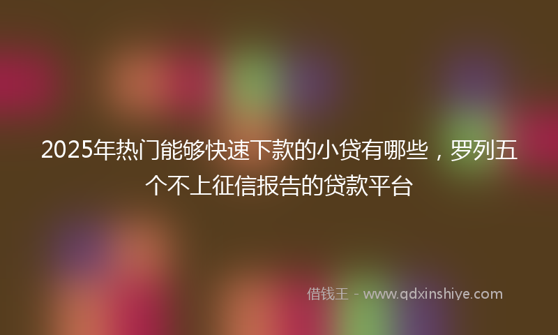 2025年热门能够快速下款的小贷有哪些，罗列五个不上征信报告的贷款平台