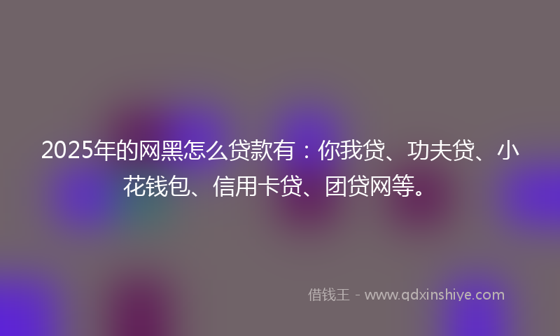 2025年的网黑怎么贷款有：你我贷、功夫贷、小花钱包、信用卡贷、团贷网等。
