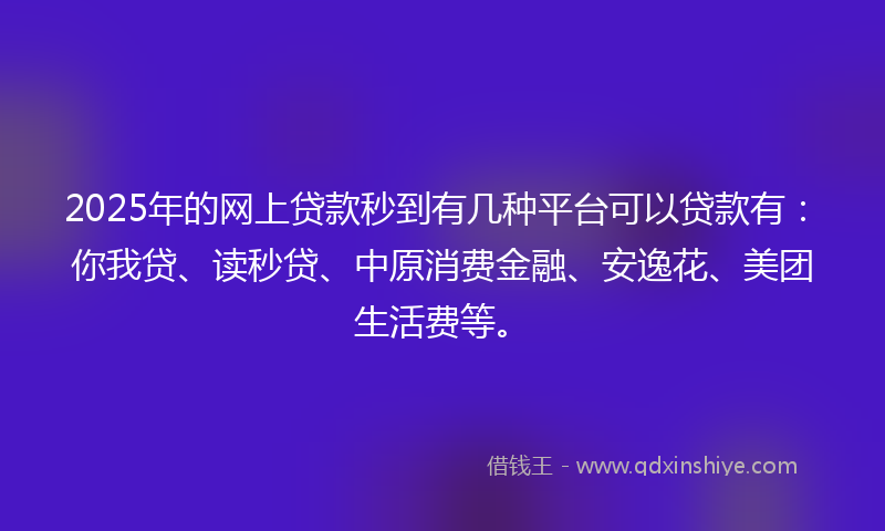 2025年的网上贷款秒到有几种平台可以贷款有：你我贷、读秒贷、中原消费金融、安逸花、美团生活费等。
