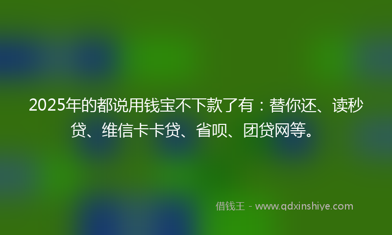 2025年的都说用钱宝不下款了有：替你还、读秒贷、维信卡卡贷、省呗、团贷网等。