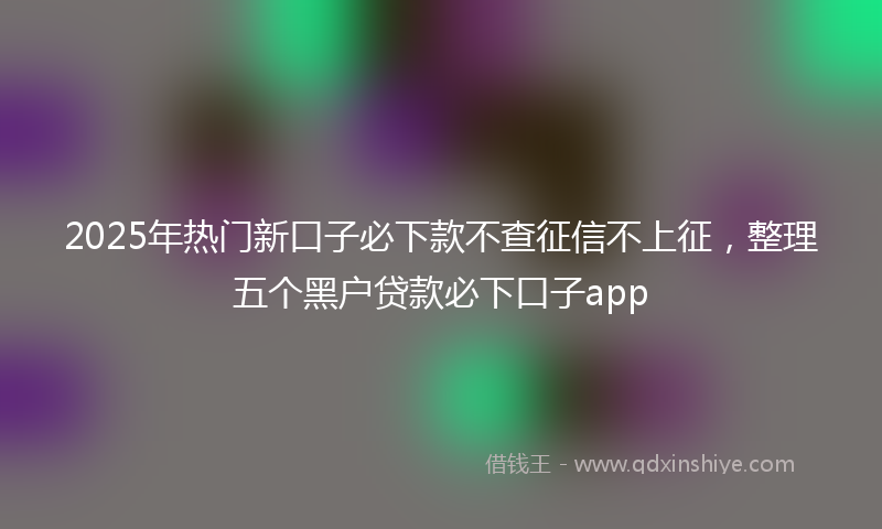 2025年热门新口子必下款不查征信不上征，整理五个黑户贷款必下口子app