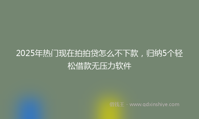 2025年热门现在拍拍贷怎么不下款，归纳5个轻松借款无压力软件