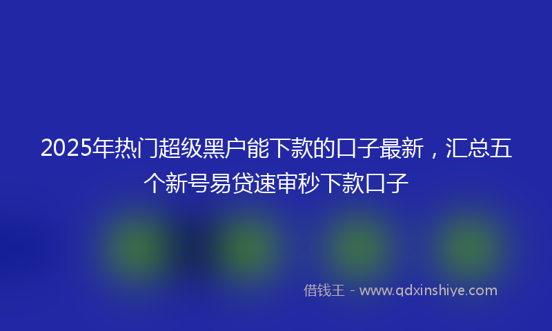 2025年热门超级黑户能下款的口子最新，汇总五个新号易贷速审秒下款口子
