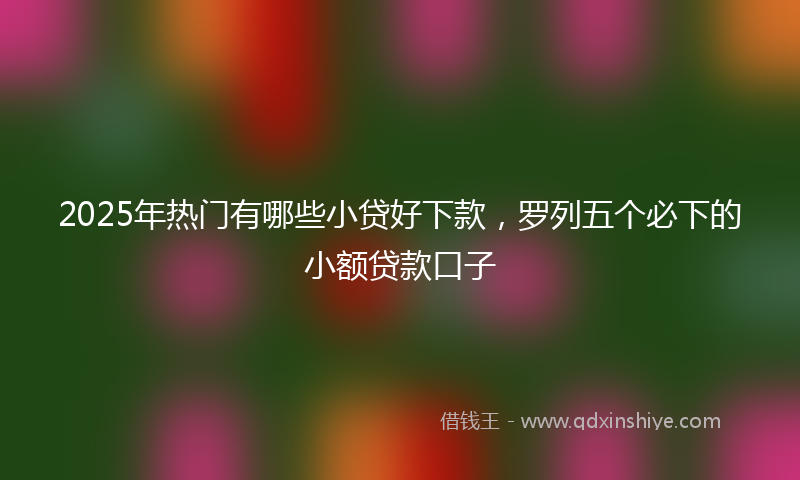 2025年热门有哪些小贷好下款，罗列五个必下的小额贷款口子