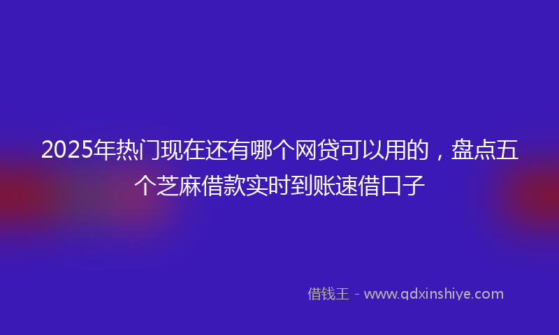 2025年热门现在还有哪个网贷可以用的，盘点五个芝麻借款实时到账速借口子