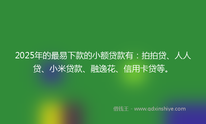 2025年的最易下款的小额贷款有：拍拍贷、人人贷、小米贷款、融逸花、信用卡贷等。