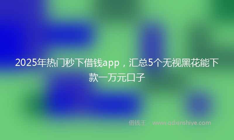 2025年热门秒下借钱app，汇总5个无视黑花能下款一万元口子
