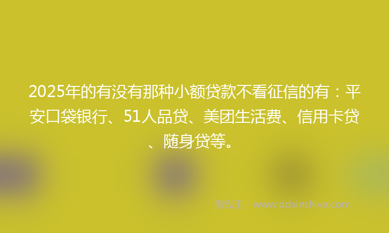 2025年的有没有那种小额贷款不看征信的有：平安口袋银行、51人品贷、美团生活费、信用卡贷、随身贷等。