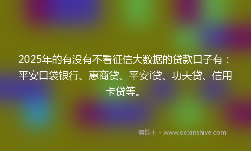 2025年的有没有不看征信大数据的贷款口子有：平安口袋银行、惠商贷、平安i贷、功夫贷、信用卡贷等。