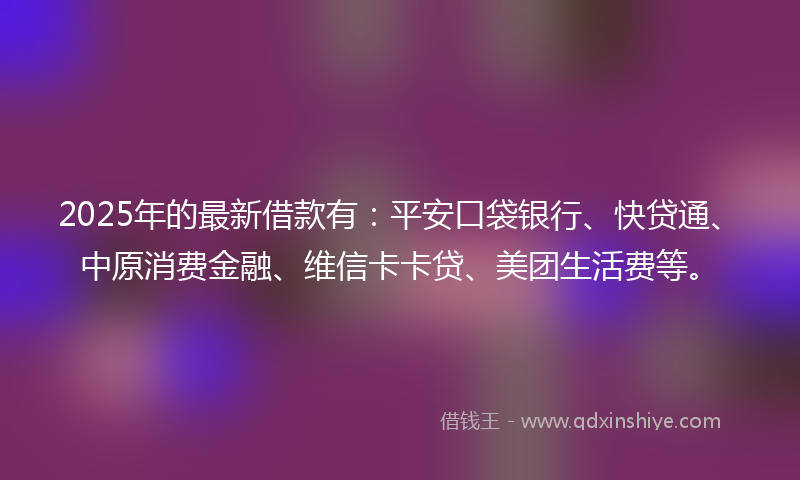 2025年的最新借款有：平安口袋银行、快贷通、中原消费金融、维信卡卡贷、美团生活费等。