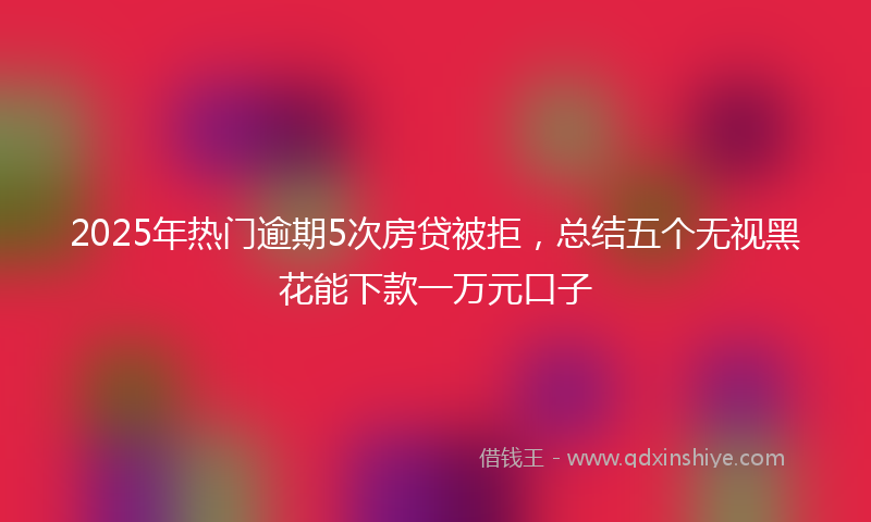 2025年热门逾期5次房贷被拒，总结五个无视黑花能下款一万元口子