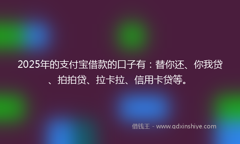 2025年的支付宝借款的口子有：替你还、你我贷、拍拍贷、拉卡拉、信用卡贷等。