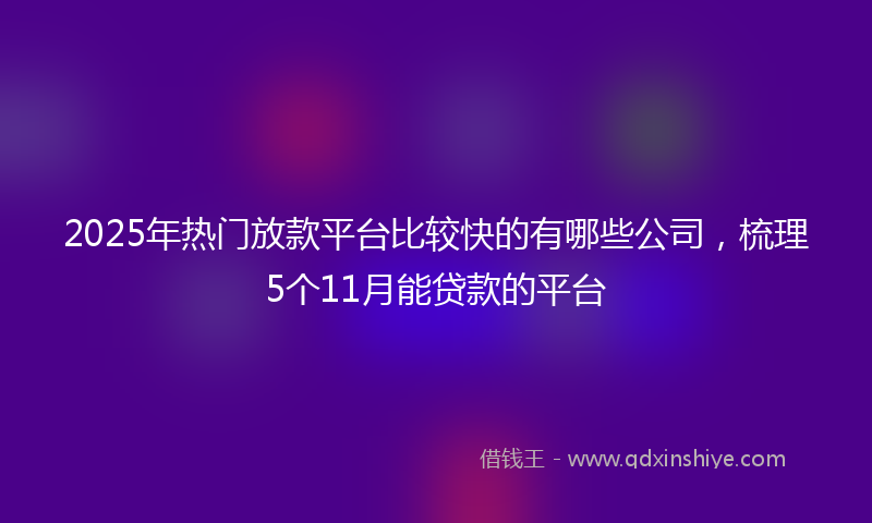 2025年热门放款平台比较快的有哪些公司，梳理5个11月能贷款的平台