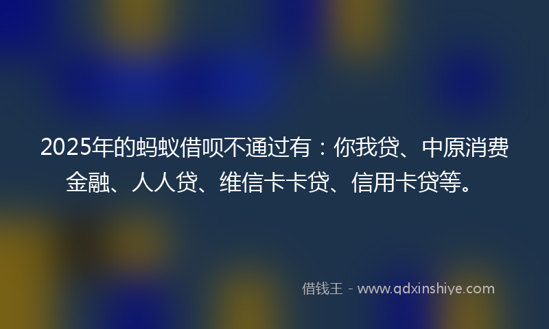 2025年的蚂蚁借呗不通过有：你我贷、中原消费金融、人人贷、维信卡卡贷、信用卡贷等。