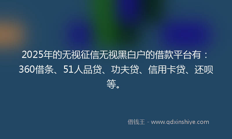 2025年的无视征信无视黑白户的借款平台有：360借条、51人品贷、功夫贷、信用卡贷、还呗等。