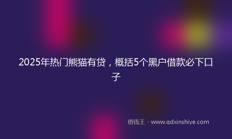 2025年热门熊猫有贷，概括5个黑户借款必下口子