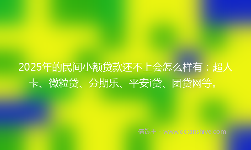 2025年的民间小额贷款还不上会怎么样有：超人卡、微粒贷、分期乐、平安i贷、团贷网等。