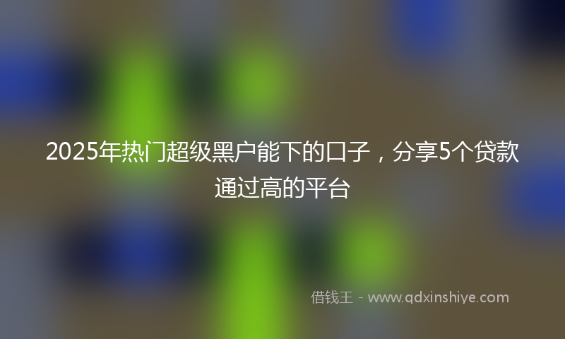 2025年热门超级黑户能下的口子，分享5个贷款通过高的平台