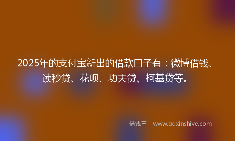 2025年的支付宝新出的借款口子有：微博借钱、读秒贷、花呗、功夫贷、柯基贷等。