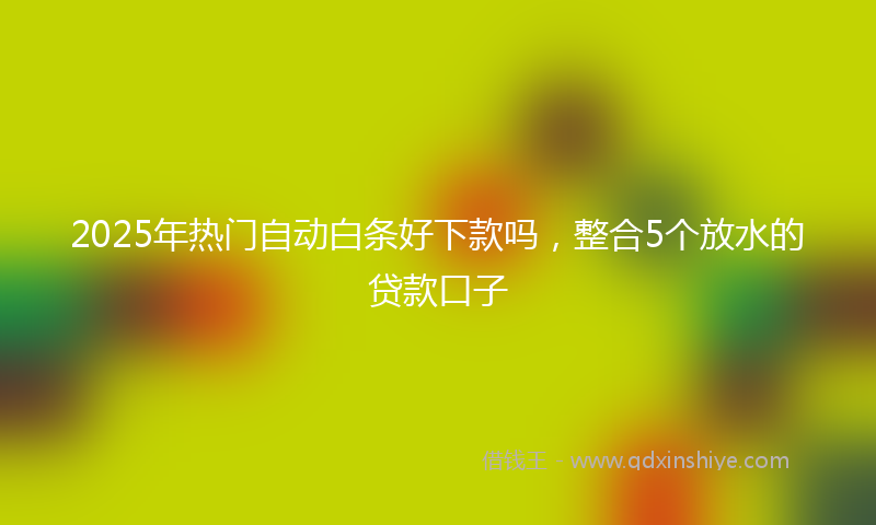 2025年热门自动白条好下款吗，整合5个放水的贷款口子