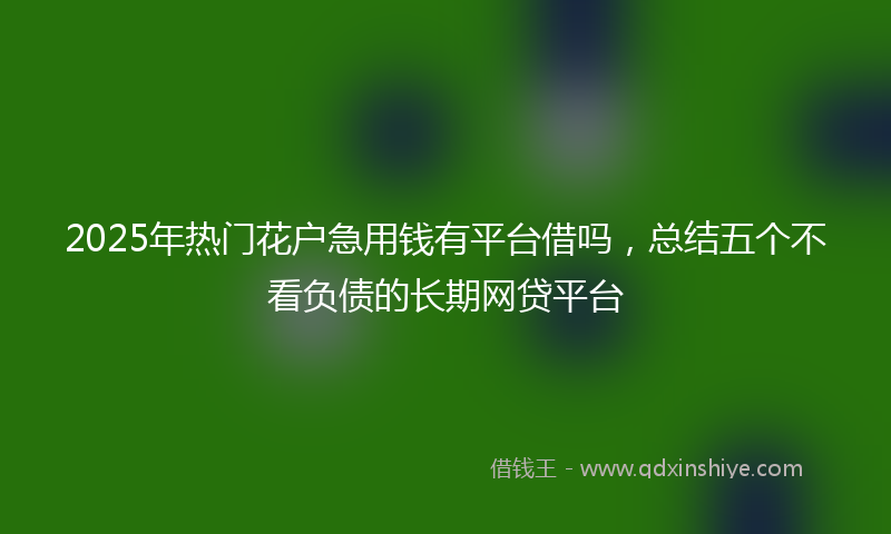 2025年热门花户急用钱有平台借吗，总结五个不看负债的长期网贷平台