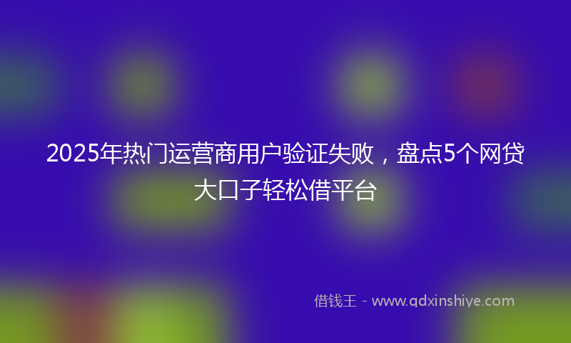 2025年热门运营商用户验证失败，盘点5个网贷大口子轻松借平台