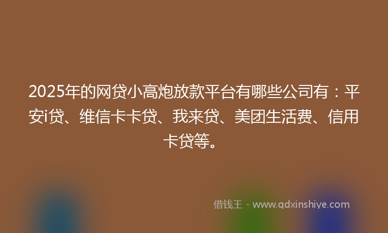 2025年的网贷小高炮放款平台有哪些公司有：平安i贷、维信卡卡贷、我来贷、美团生活费、信用卡贷等。