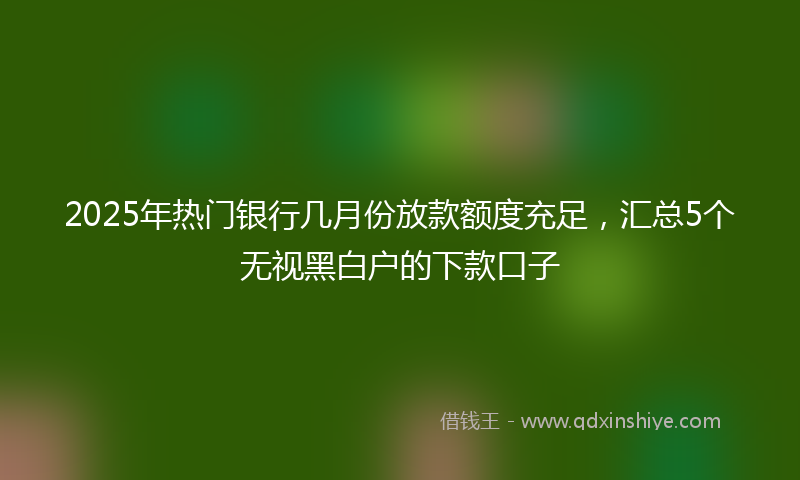 2025年热门银行几月份放款额度充足，汇总5个无视黑白户的下款口子