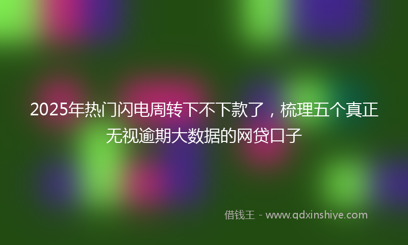 2025年热门闪电周转下不下款了，梳理五个真正无视逾期大数据的网贷口子