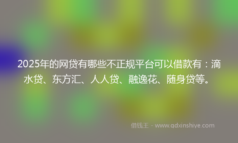2025年的网贷有哪些不正规平台可以借款有：滴水贷、东方汇、人人贷、融逸花、随身贷等。