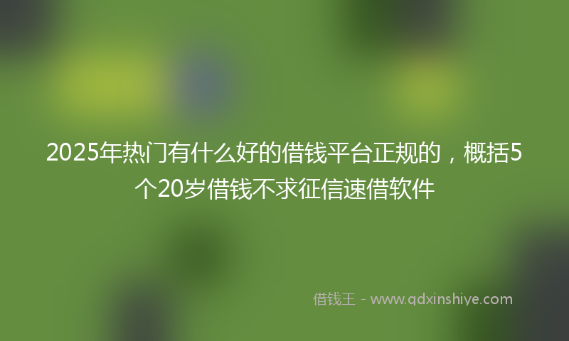 2025年热门有什么好的借钱平台正规的，概括5个20岁借钱不求征信速借软件