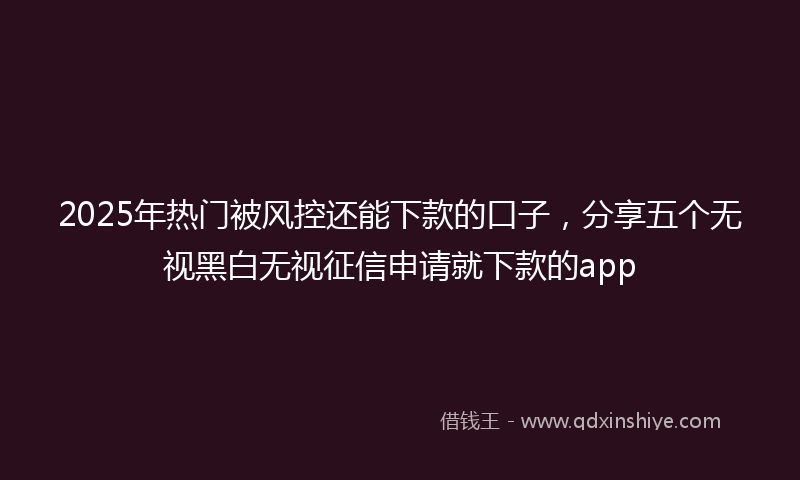 2025年热门被风控还能下款的口子，分享五个无视黑白无视征信申请就下款的app