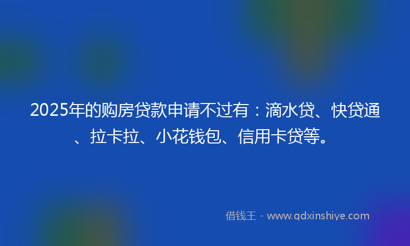 2025年的购房贷款申请不过有：滴水贷、快贷通、拉卡拉、小花钱包、信用卡贷等。