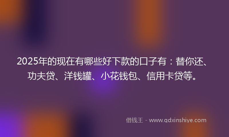 2025年的现在有哪些好下款的口子有：替你还、功夫贷、洋钱罐、小花钱包、信用卡贷等。