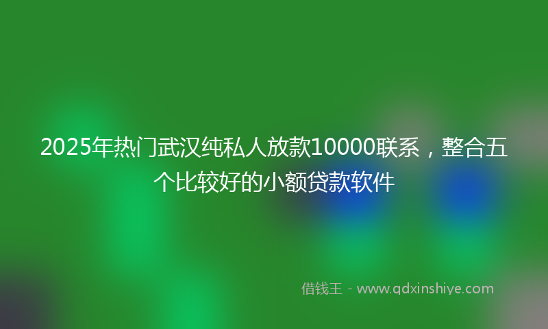 2025年热门武汉纯私人放款10000联系，整合五个比较好的小额贷款软件