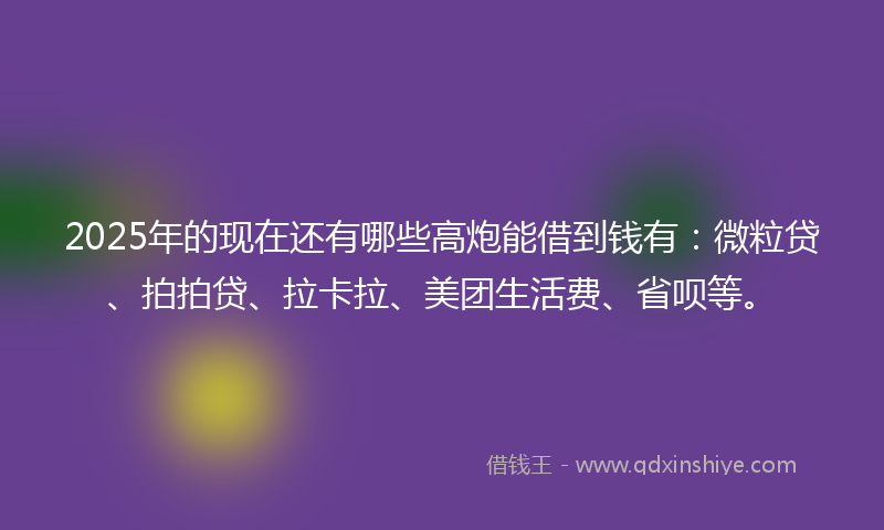 2025年的现在还有哪些高炮能借到钱有：微粒贷、拍拍贷、拉卡拉、美团生活费、省呗等。
