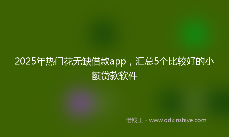 2025年热门花无缺借款app，汇总5个比较好的小额贷款软件