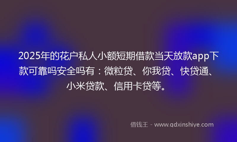 2025年的花户私人小额短期借款当天放款app下款可靠吗安全吗有：微粒贷、你我贷、快贷通、小米贷款、信用卡贷等。