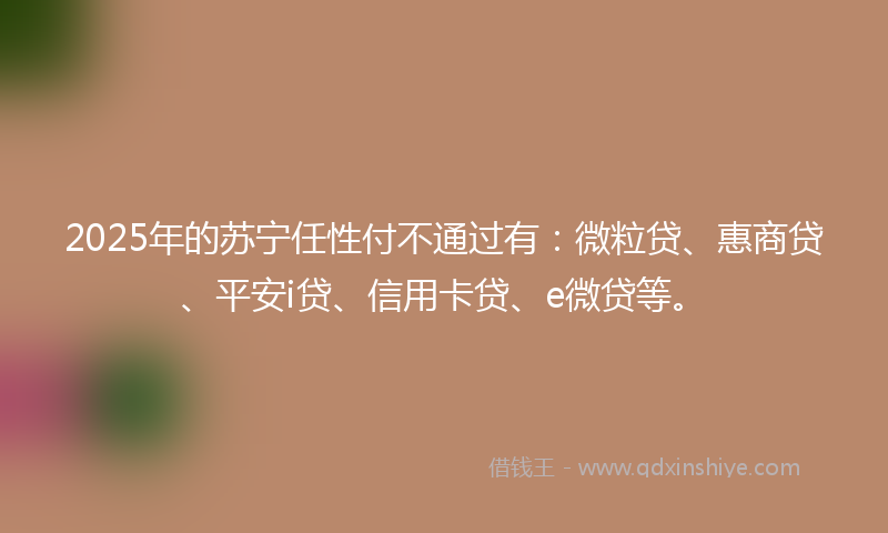 2025年的苏宁任性付不通过有：微粒贷、惠商贷、平安i贷、信用卡贷、e微贷等。