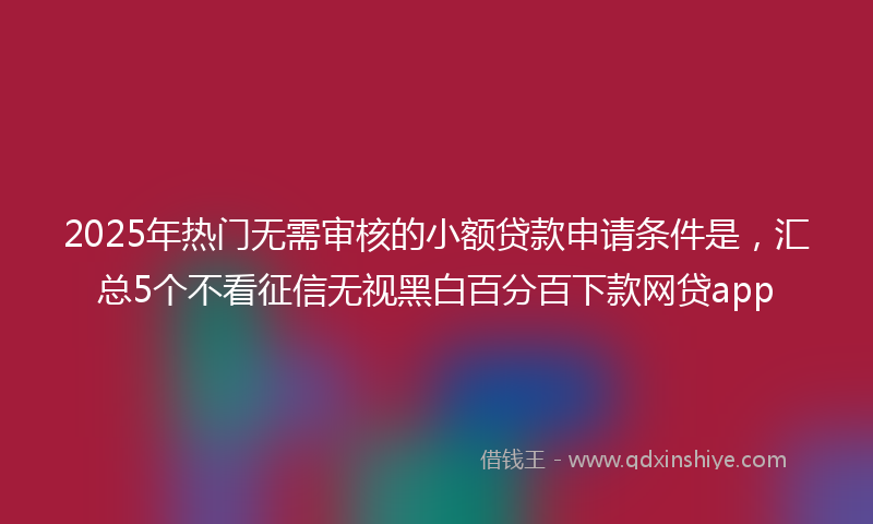 2025年热门无需审核的小额贷款申请条件是，汇总5个不看征信无视黑白百分百下款网贷app