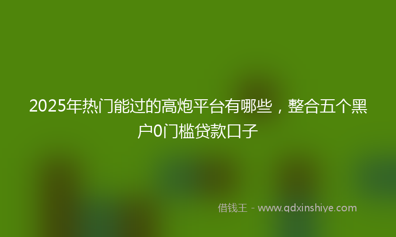 2025年热门能过的高炮平台有哪些，整合五个黑户0门槛贷款口子