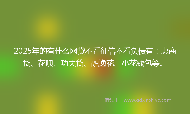2025年的有什么网贷不看征信不看负债有：惠商贷、花呗、功夫贷、融逸花、小花钱包等。