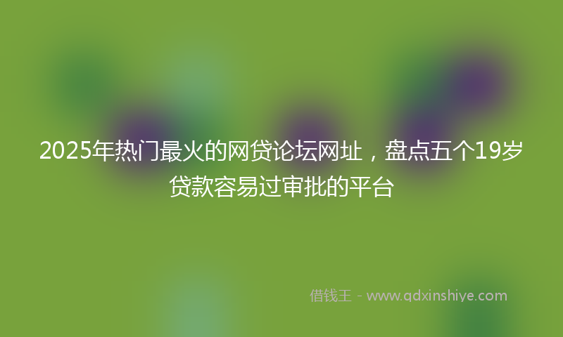 2025年热门最火的网贷论坛网址，盘点五个19岁贷款容易过审批的平台