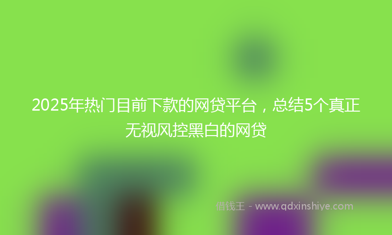 2025年热门目前下款的网贷平台，总结5个真正无视风控黑白的网贷